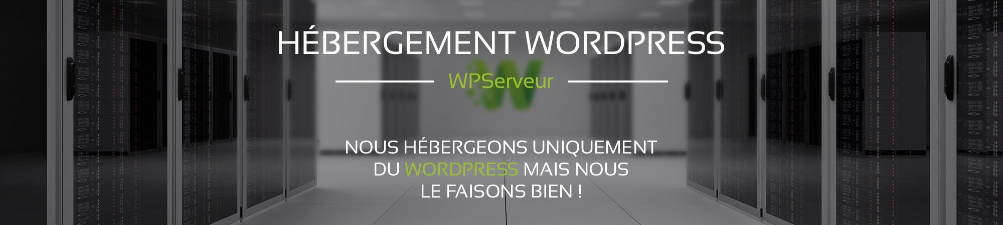 header-wpserveur header-wpserveur