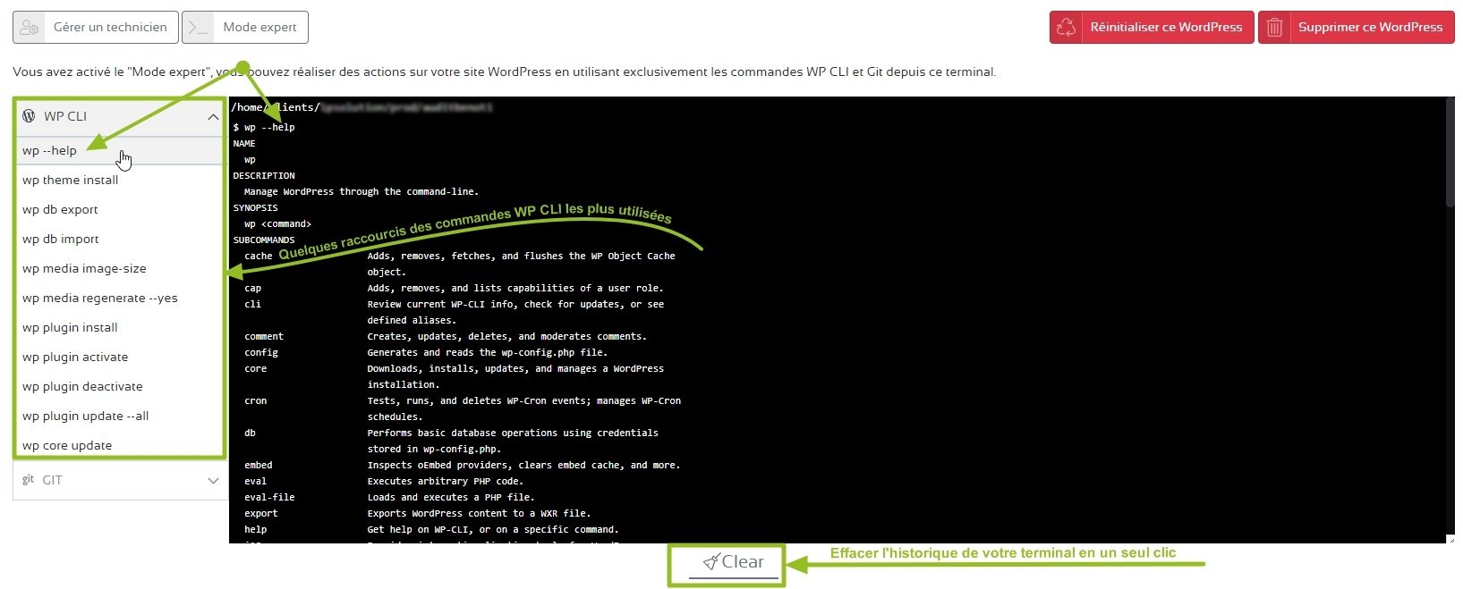 wpserveur-mode-expert-wp-cli wpserveur-mode-expert-wp-cli