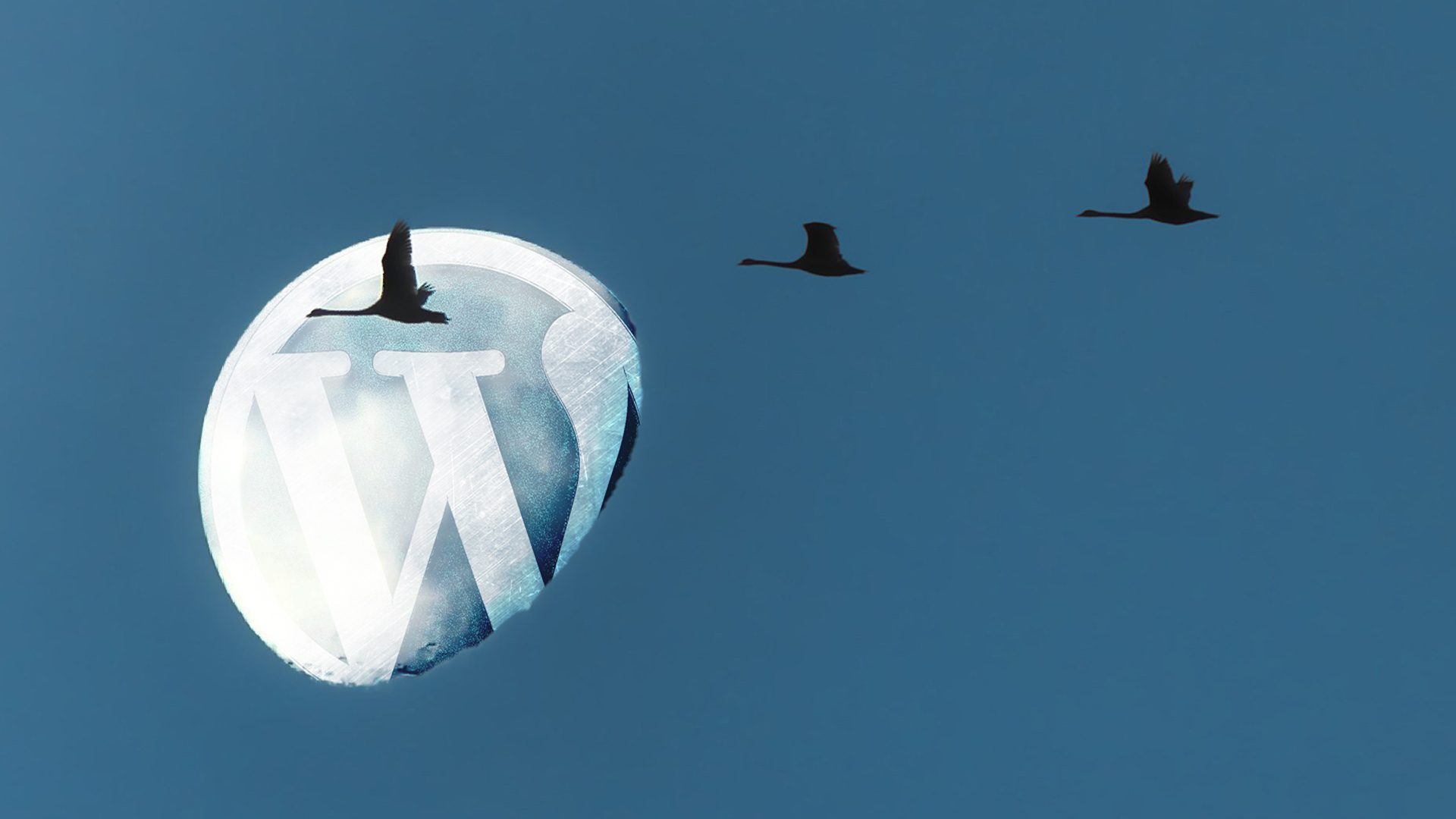 Comment faire la migration de son WordPress manuellement ?